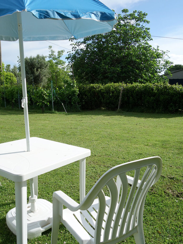 A table with seats on the lawn
