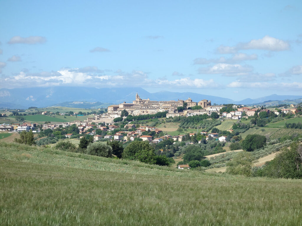 Panoramic view of Corinaldo