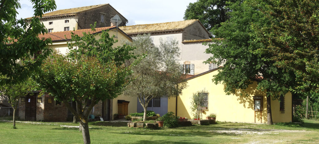 A view of the buildings from the back yard